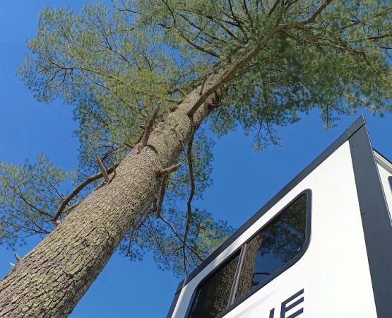 Anchor Woods Campground