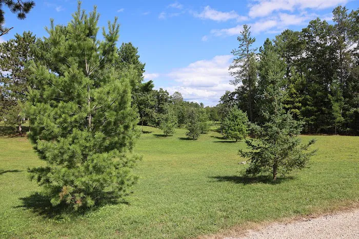 Camp Rivers Campground 4