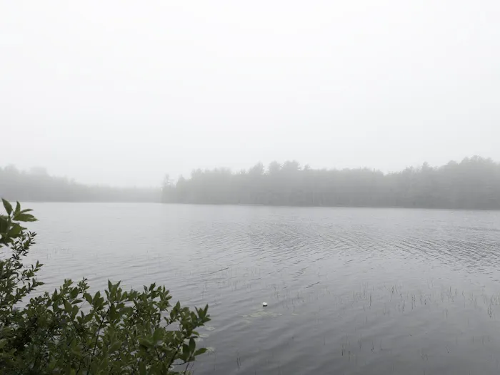 North Gemini Lake State Forest Campground 3