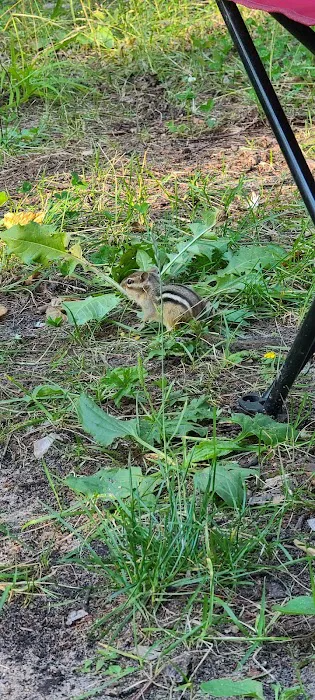 North Gemini Lake State Forest Campground 1