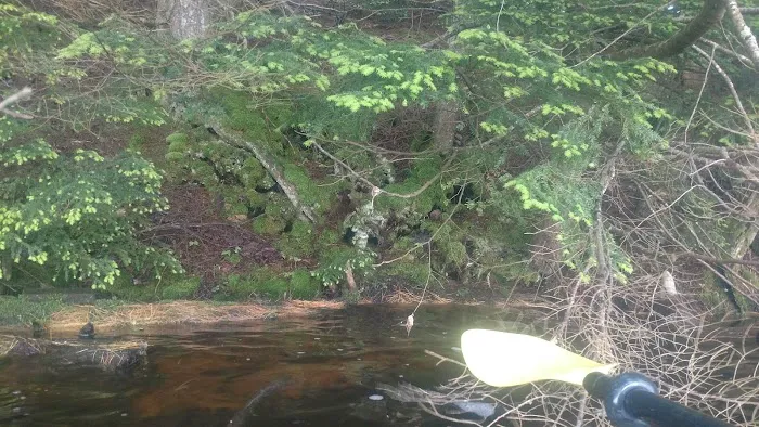 North Gemini Lake State Forest Campground 9