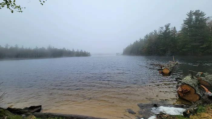 South Gemini Lake State Forest Campground 6