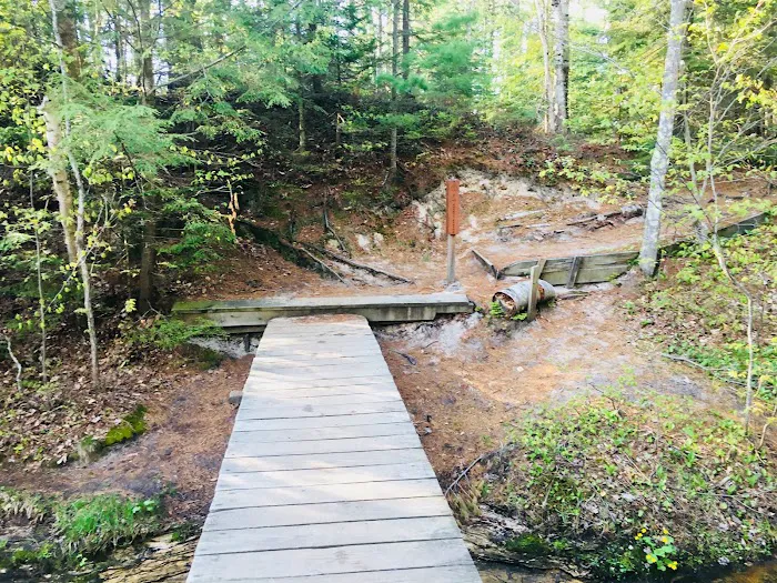 Mosquito Beach Campground 5