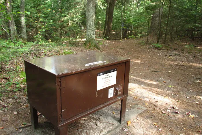 Mosquito Beach Campground 6