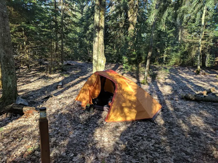 Mosquito Beach Campground 7