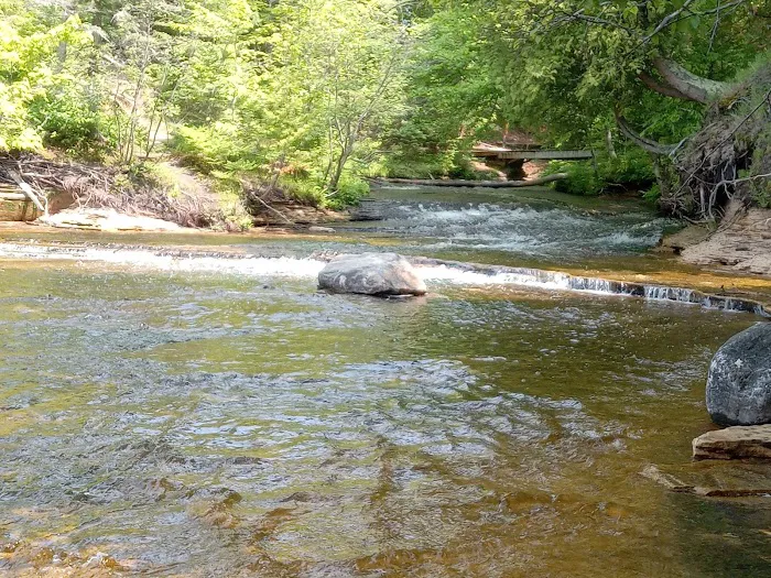 Mosquito Beach Campground 3