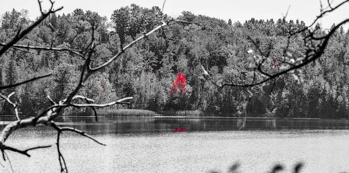 Barnum City Park Campground 1
