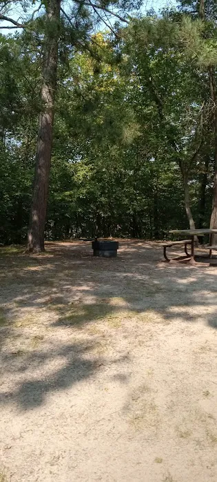 Crow Wing State Park Campground 5