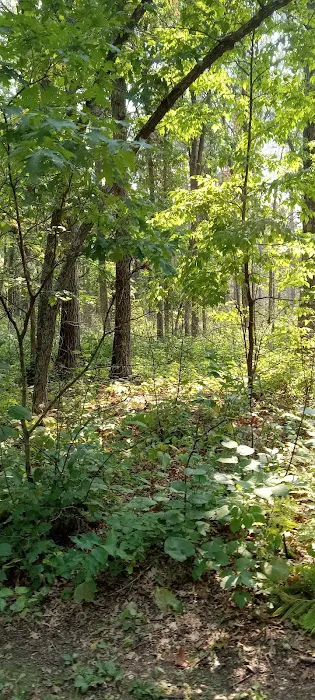 Group Camp 3
