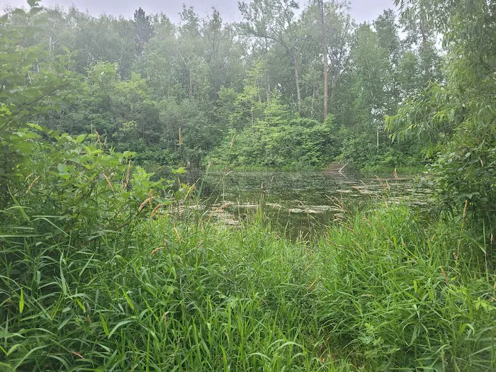 Portsmouth Campground 3