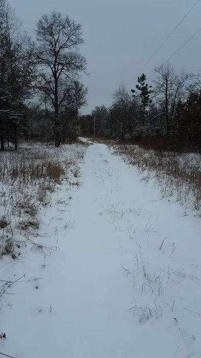 Fools Lake Campground 3