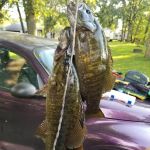 Royalton Sportsmen Grounds (POW WOW Grounds)