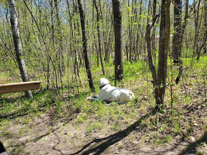 Birch Lake Campground and Day-Use Area 2
