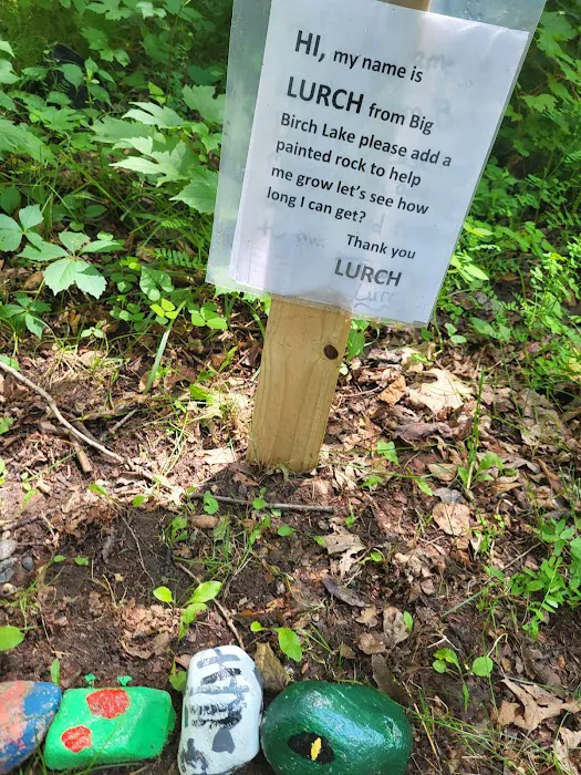Birch Lake Campground and Day-Use Area 8