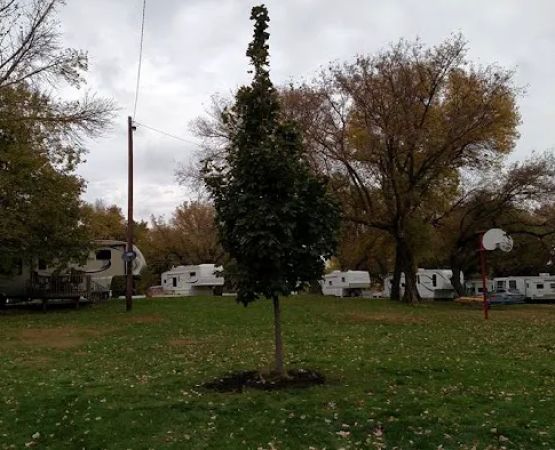 Valhalla Island Campground On Lake Shetek
