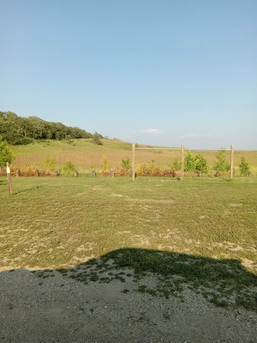 Horse Camp 2