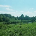 Ambush Park Campground