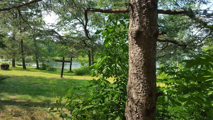 Greer lake Campground 5