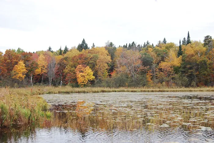 Greer lake Campground 9