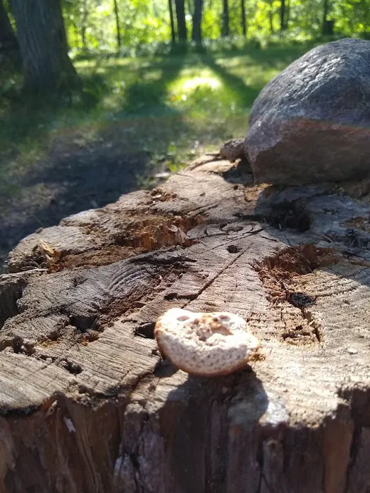 Greer lake Campground 3