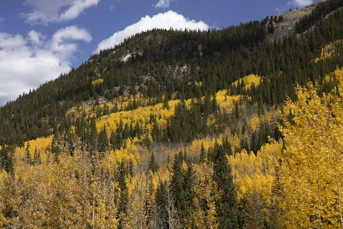 Lostfork Basecamp 4