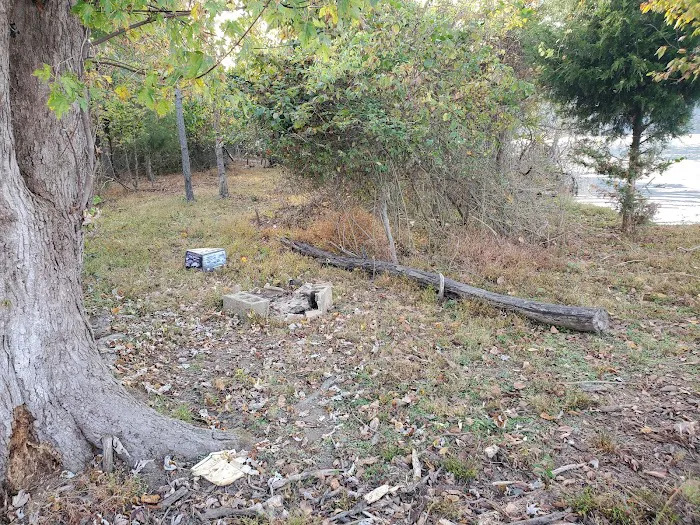 Oates Island Campsite 0