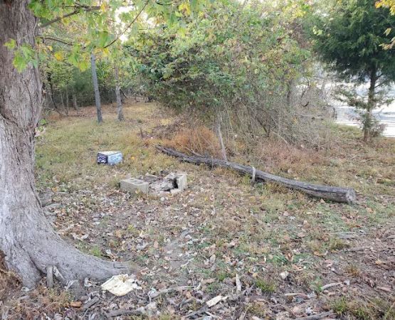Oates Island Campsite