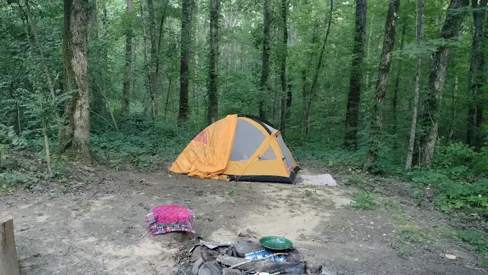Hunter check station campground 4