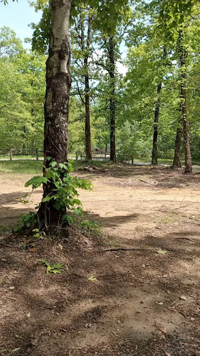 Hunter check station campground 7