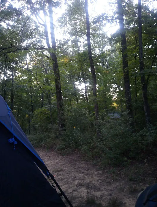 Hunter check station campground 9