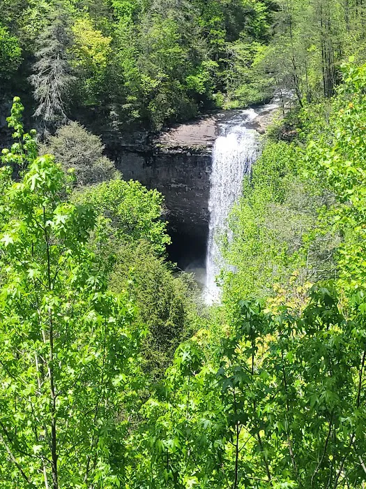 Foster Falls Campground 1
