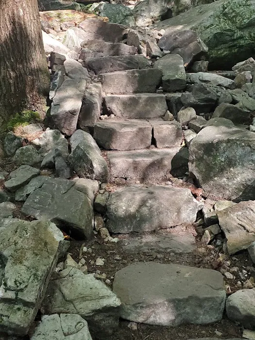 Foster Falls Campground 3