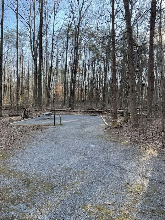 Foster Falls Campground 6