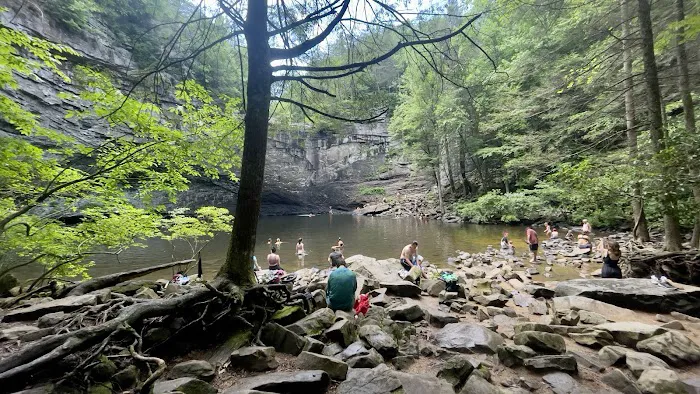 Foster Falls Campground 5