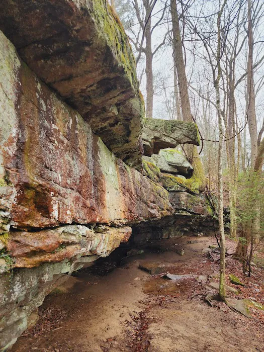 Foster Falls Campground 8