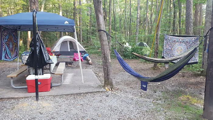 Foster Falls Campground 9