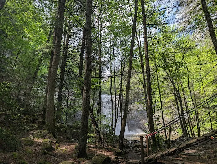 Foster Falls Campground 7