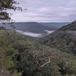 Small Wilds Campground