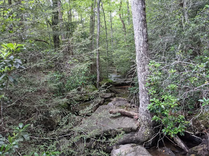 Small Wilds Campground 1