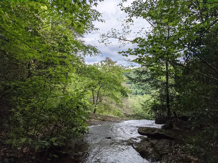Small Wilds Campground 7