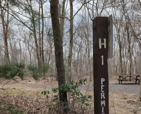 Weiser State Forest (Haldeman Tract) Campsite H1