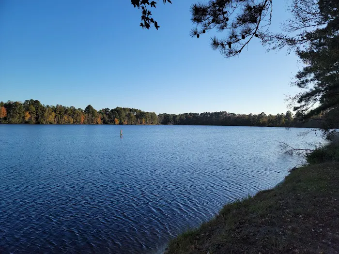 Griffin Lakes Campground 3
