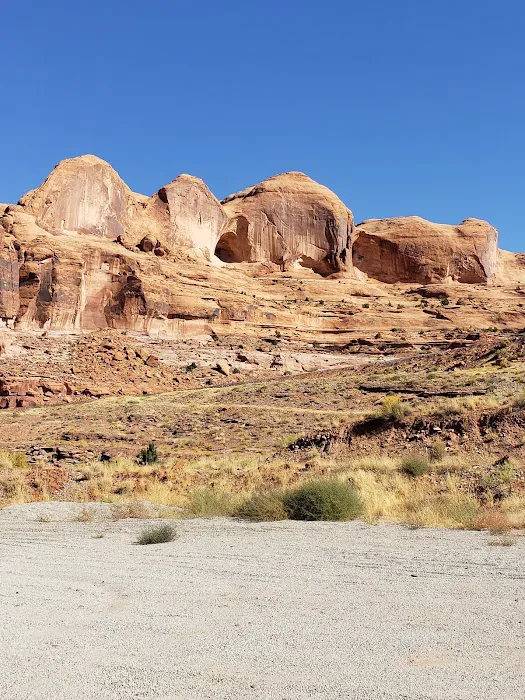 Shafer Campground 7