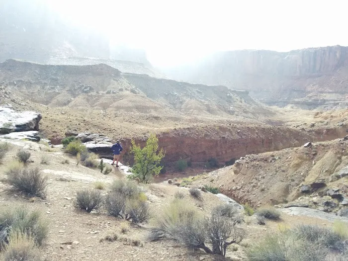 Syncline Campground 6