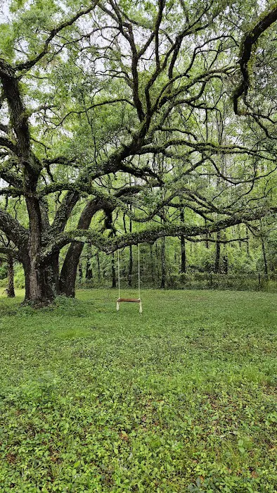 Honey Bee Ranch 5