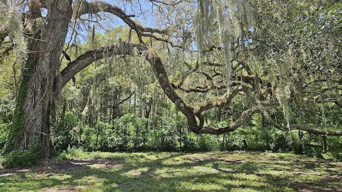 Honey Bee Ranch 0