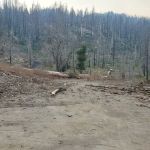 Tiger Flat Campground