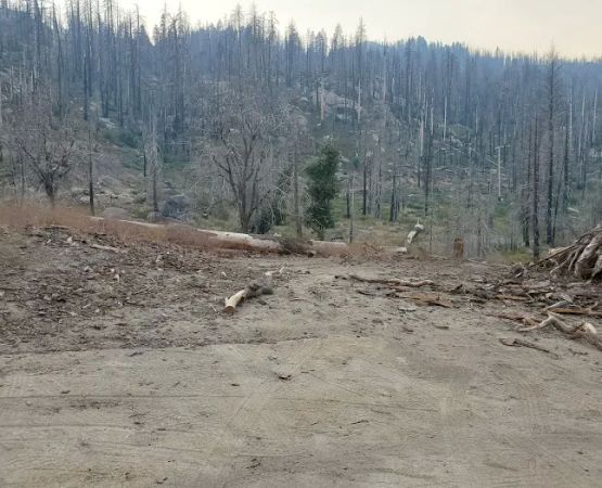 Tiger Flat Campground