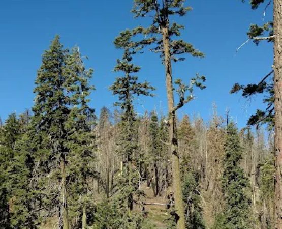 Panorama Campground