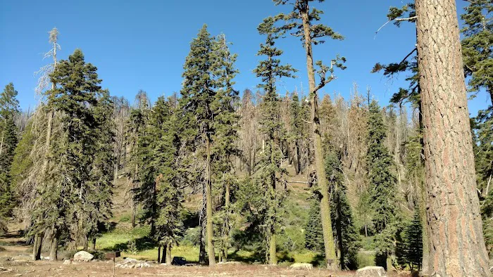Panorama Campground 4